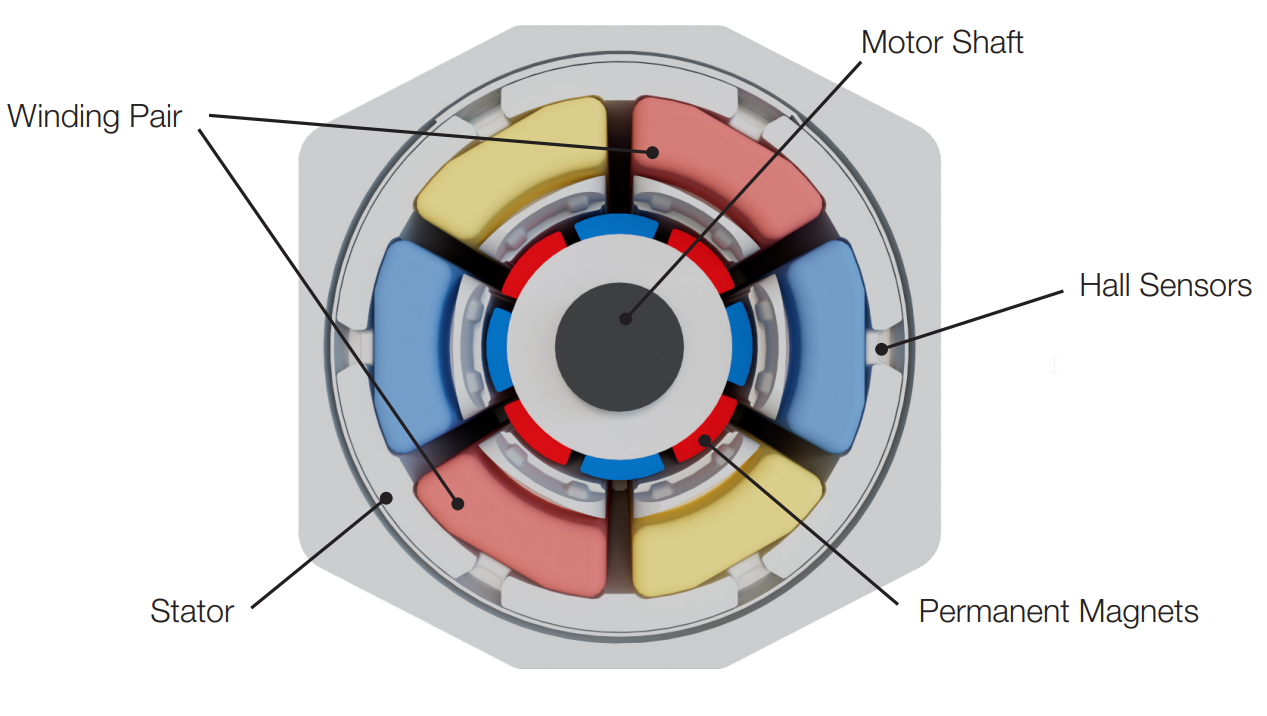inside of brushless dc motor